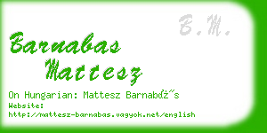 barnabas mattesz business card